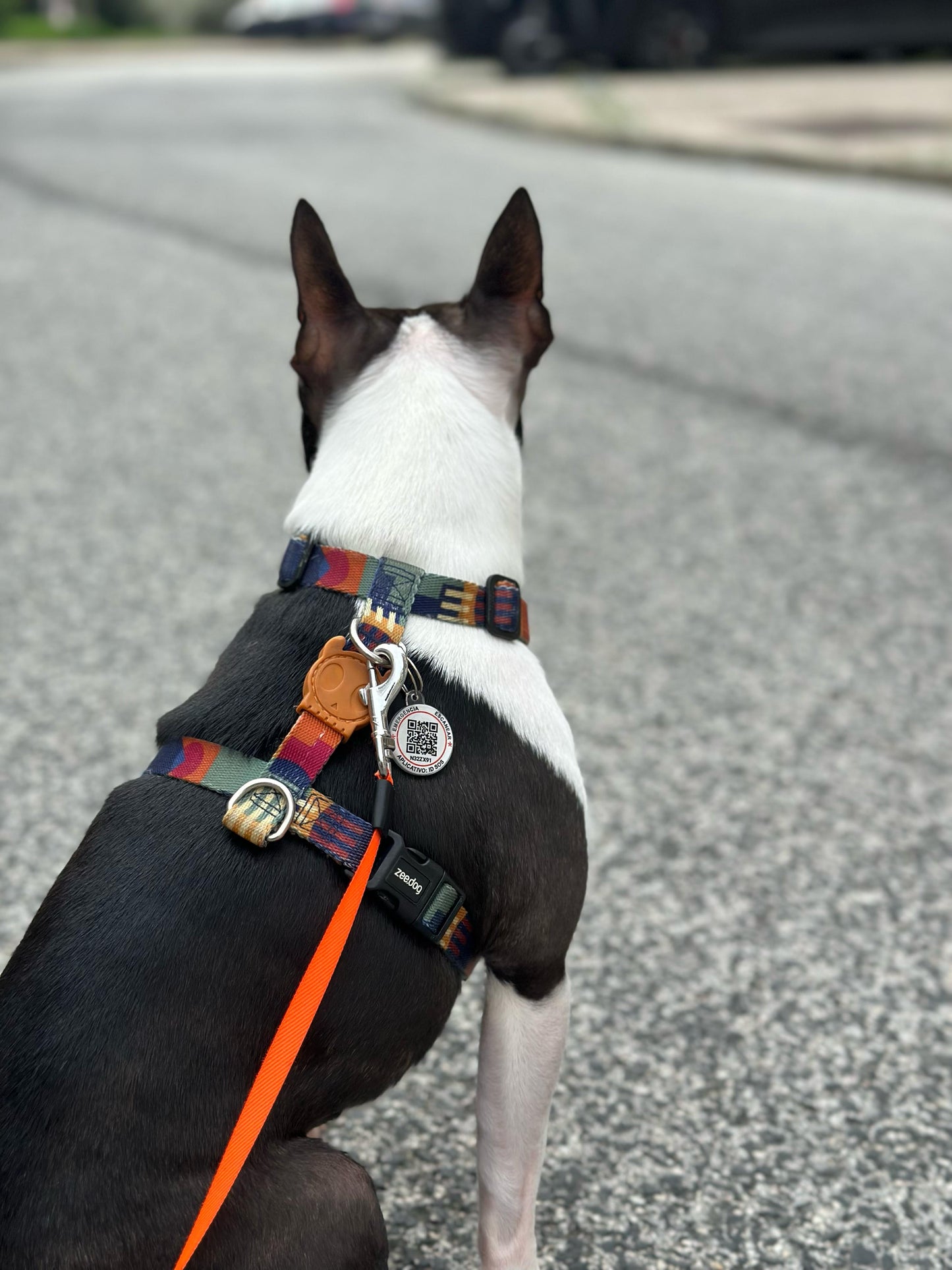 QR PetGuard -Guardião Digital do PET