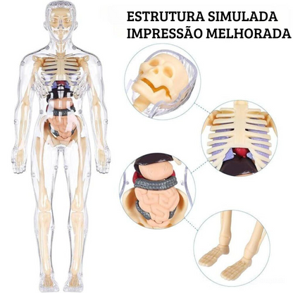 BodyQuest® - Aprendizagem do corpo humano