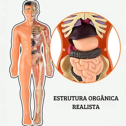 BodyQuest® - Aprendizagem do corpo humano